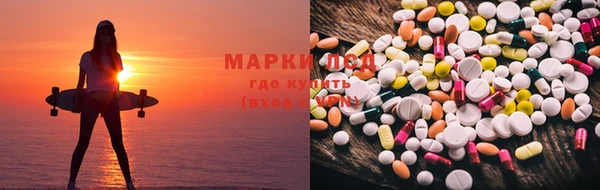 прущая мука Гусев