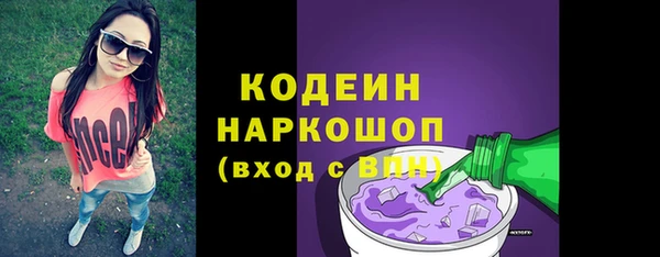 ПСИЛОЦИБИНОВЫЕ ГРИБЫ Гусь-Хрустальный