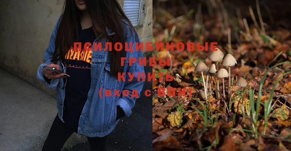 прущая мука Гусев