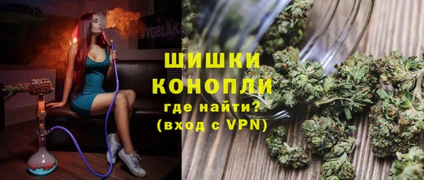 ПСИЛОЦИБИНОВЫЕ ГРИБЫ Гусь-Хрустальный