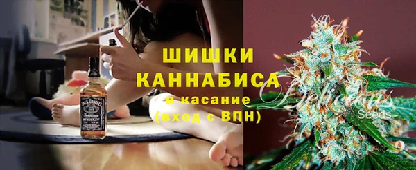 ПСИЛОЦИБИНОВЫЕ ГРИБЫ Гусь-Хрустальный