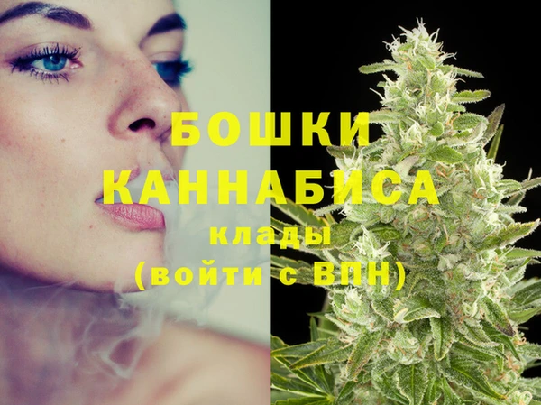 ПСИЛОЦИБИНОВЫЕ ГРИБЫ Гусь-Хрустальный