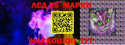 гидропоника Гатчина
