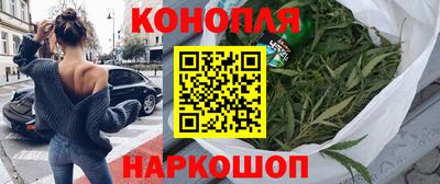 гидропоника Гатчина