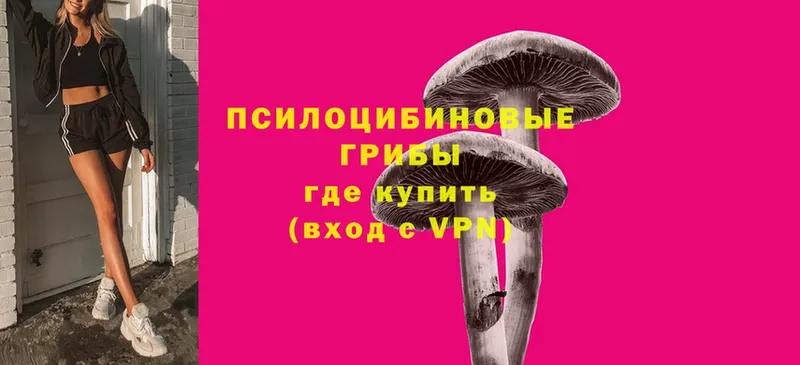 Галлюциногенные грибы Psilocybe  даркнет сайт  Гусь-Хрустальный 