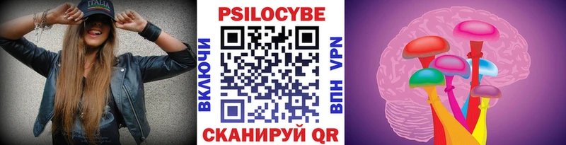 Псилоцибиновые грибы Psilocybe блэк спрут сайт Гусь-Хрустальный