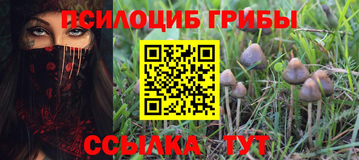 Галлюциногенные грибы Psilocybine cubensis Гусь-Хрустальный